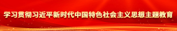 大鸡吧干美女逼学习贯彻习近平新时代中国特色社会主义思想主题教育